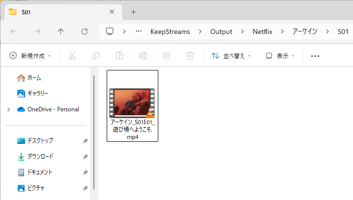 keepstreams_netflix_downloader_mp4